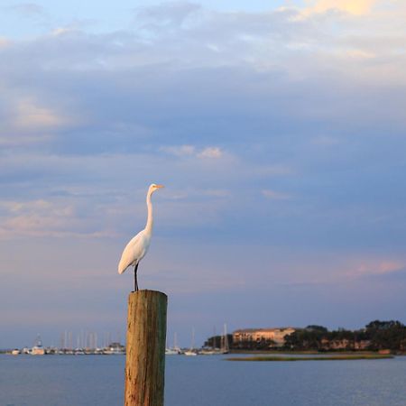 Stoney Creek Villa 299 Hilton Head Island Exterior foto